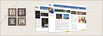 精彩案例